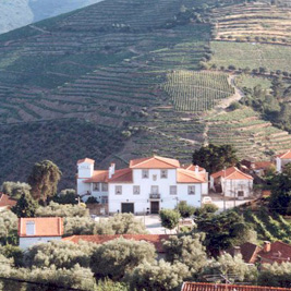 photo-house
