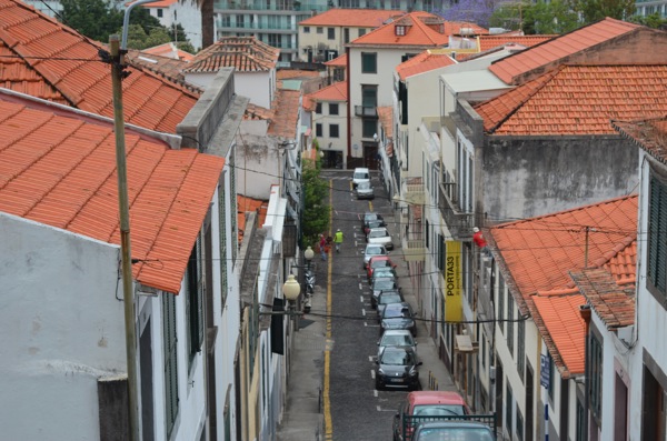 DSC 0060