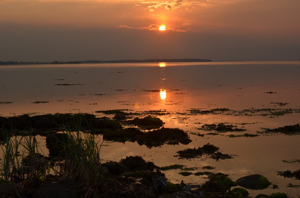 By Galway Bay.
