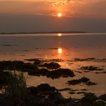 By Galway Bay.