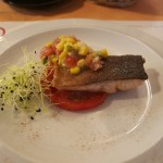 Sea Trout