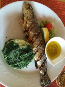 Trout
