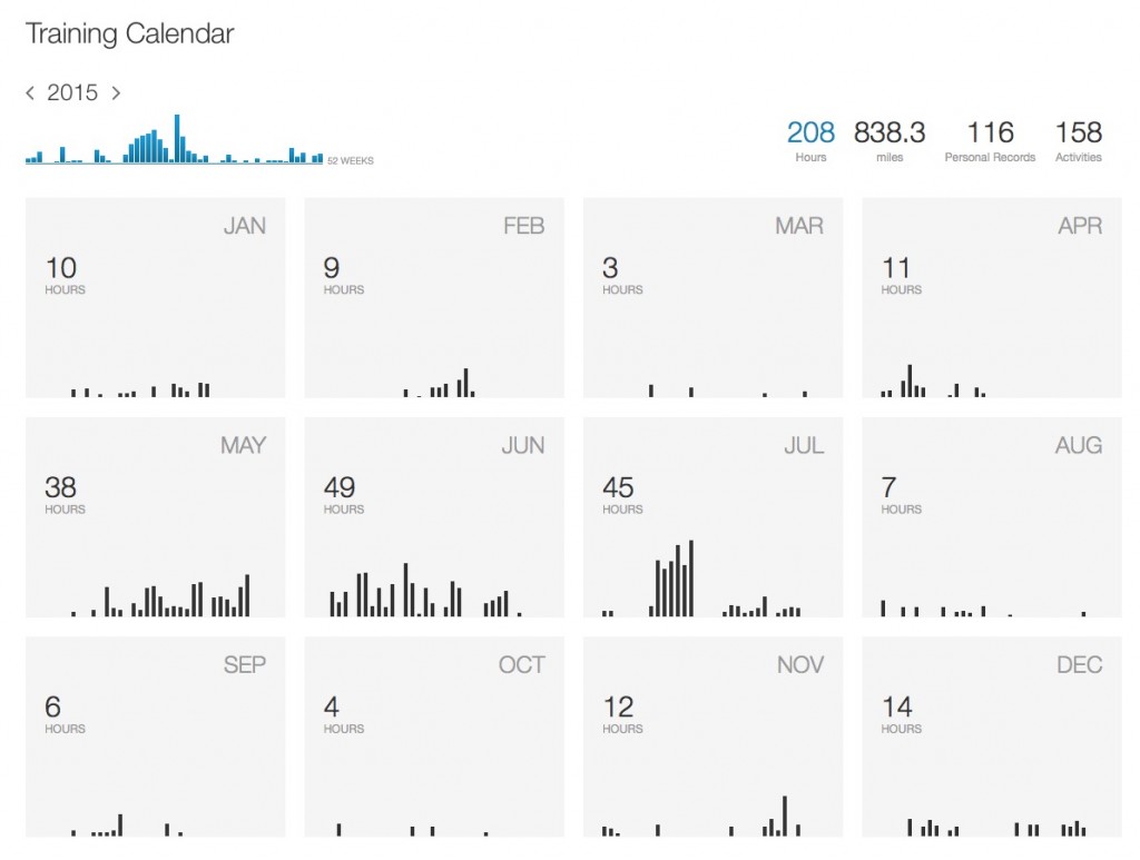 My Year in Miles