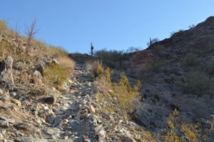 Long Uphill Climb