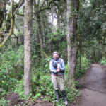 rainforest