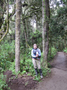 rainforest