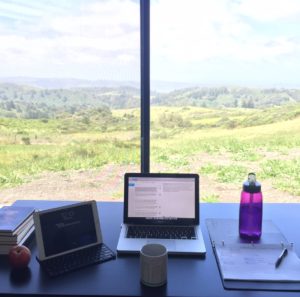 View from My Studio